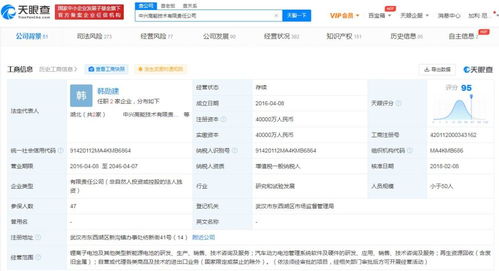 探索軟件信息咨詢服務(wù)的價(jià)值與應(yīng)用